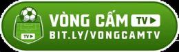 ảnh chụp màn hình bóng đá bù giờ tv