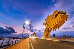 ảnh chụp màn hình bông đà nẵng