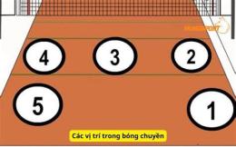 ảnh chụp màn hình các vị trí trong bóng chuyền da