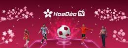 ảnh chụp màn hình hoa đào tv bóng đá