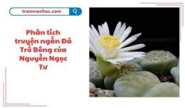 ảnh chụp màn hình phân tích đá trổ bông