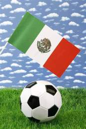 ảnh chụp màn hình quả bóng đá mexico