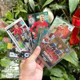 ảnh chụp màn hình thẻ cầu thủ bóng đá panini