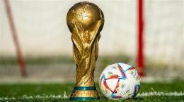 ảnh chụp màn hình world cup là giải bóng đá gì
