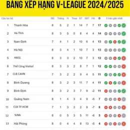 bảng xếp hạng bóng đá v league 2025