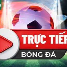 bóng đá 88 trực tiếp