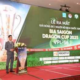 bóng đá giải vô địch quốc gia đức