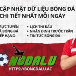 bóng đá lu 88