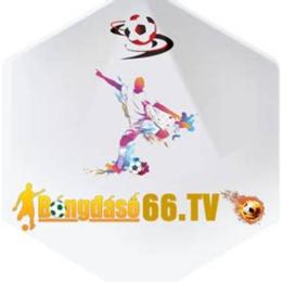 bóng đá số - dữ liệu 66 bong88