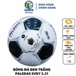 bóng đá số net 12