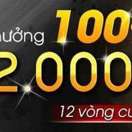 bong da wap vn ty le