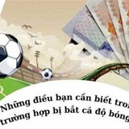 cá độ bóng đá bị bắt