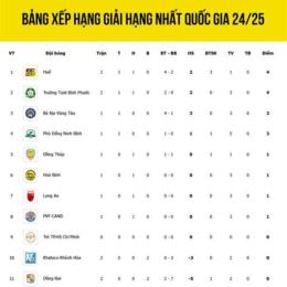 các giải đấu bóng đá