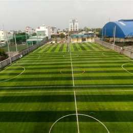 các loại sân bóng đá