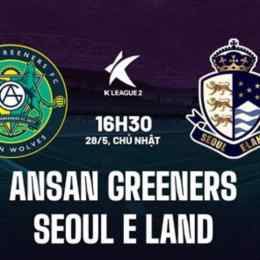 câu lạc bộ bóng đá ansan greeners – daegu