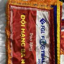 cờ bóng đá