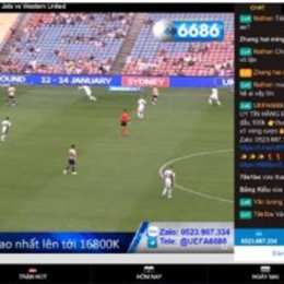 cola tv xem bóng đá