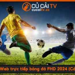 cucai.co bóng đá trực tiếp