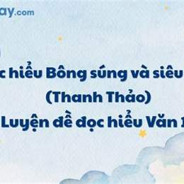 đọc bao bong da