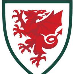 đội tuyển bóng đá quốc gia wales u-19