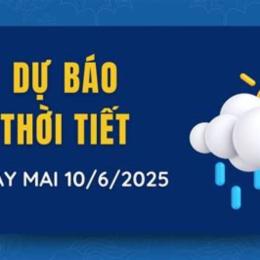 dự báo bóng đá