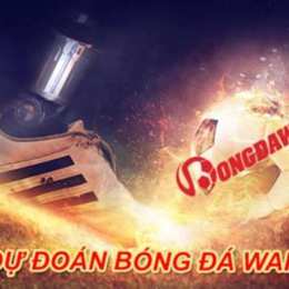 du doan bong da hn