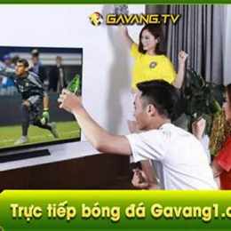 gavang.tv bóng đá