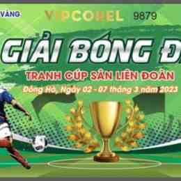 giai bong da the gioi