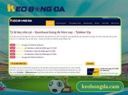 giao diện app 0.75 kèo bóng đá