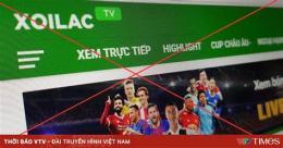 giao diện app bình luận bóng đá tv