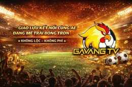 giao diện app blv gà siêu phệ trực tiếp bóng đá