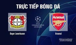 giao diện app bóng đá bayer