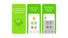giao diện app bong da hang hai duc