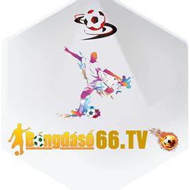 giao diện app bóng đá số - dữ liệu 66 bong88