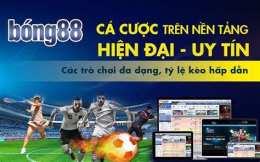 giao diện app bong da so ty le keo