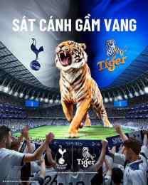 giao diện app bóng đá tiger cup