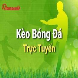 giao diện app bong da tyle