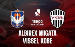 giao diện app câu lạc bộ bóng đá albirex niigata singapore