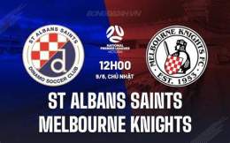 giao diện app câu lạc bộ bóng đá st albans saints