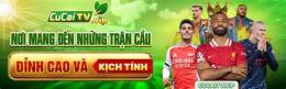 giao diện app củ cải tv trực tiếp bóng đá