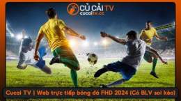 giao diện app cucai tv trực tiếp bóng đá
