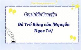 giao diện app đá trổ bông của nguyễn ngọc tư
