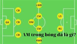 giao diện app đánh rung trong bóng đá là gì