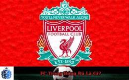 giao diện app fc trong bóng đá la gì