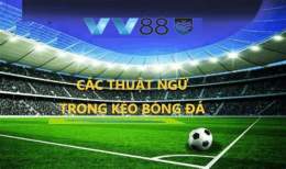 giao diện app kèo bóng đá 88.com