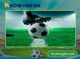 giao diện app kèo bóng đá tối