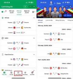 giao diện app kết quả bóng đá euro 2024