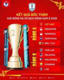 giao diện app kết quả bóng đá hyundai cup 2026