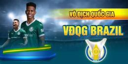 giao diện app kết quả bóng đá vdqg brazil