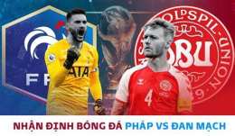 giao diện app nhận định bóng đá phap